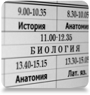 news timetable